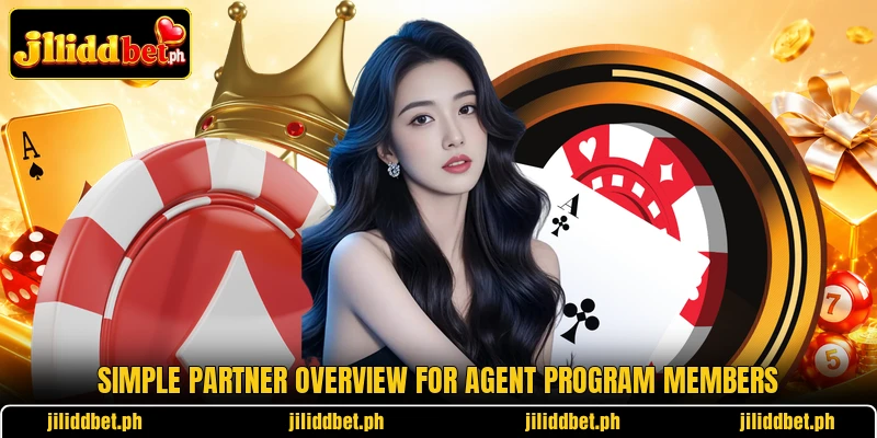 Simple partner overview for agent program members